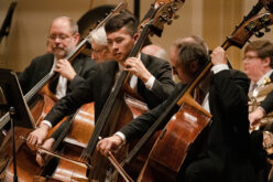 Musicians playing double basses on stage