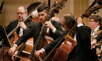 SLSO musicians playing the double bass on stage