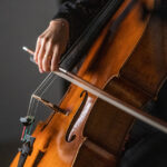 Close up of SLSO musician playing the cello