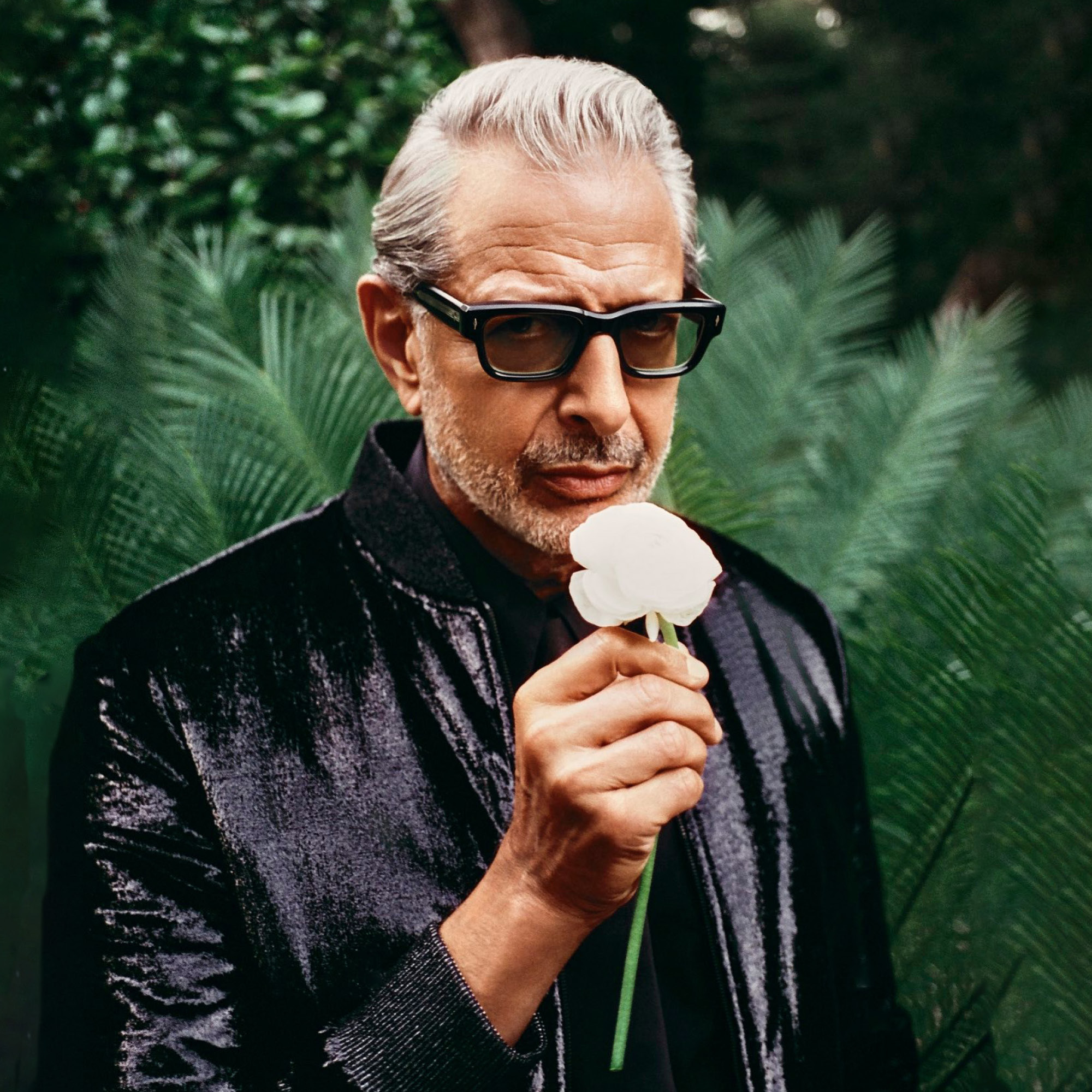 Jeff Goldblum with the Mildred Snitzer Orchestra - St. Louis