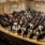 Your SLSO
